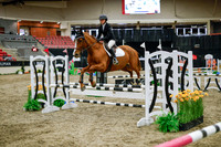 2025 - Haylee - Royal West - Wednesday October 22nd - 00524