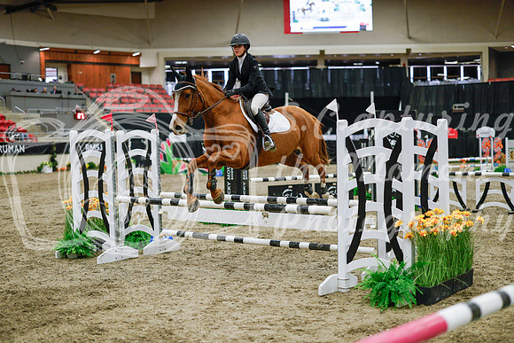 2025 - Haylee - Royal West - Wednesday October 22nd - 00524