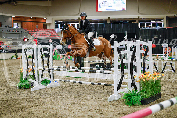 2025 - Haylee - Royal West - Wednesday October 22nd - 00523