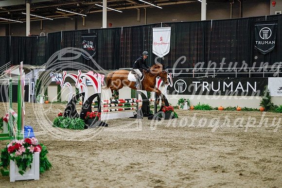 2025 - Haylee - Royal West - Wednesday October 22nd - 00544