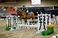 2025 - Haylee - Royal West - Wednesday October 22nd - 00593