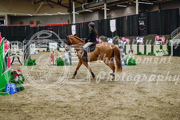 2025 - Haylee - Royal West - Wednesday October 22nd - 00636