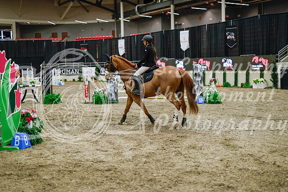 2025 - Haylee - Royal West - Wednesday October 22nd - 00638