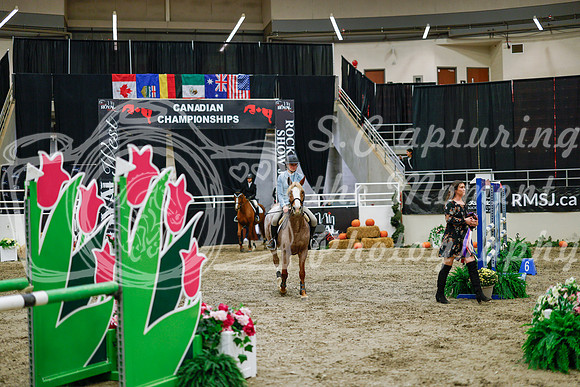 2025 - Haylee - Royal West - Wednesday October 22nd - 00656