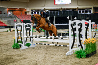 2025 - Haylee - Royal West - Wednesday October 22nd - 00295