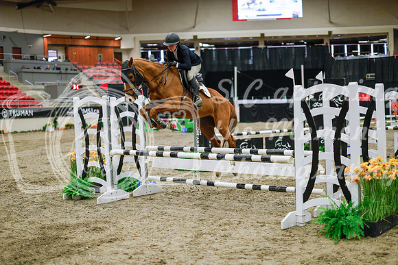 2025 - Haylee - Royal West - Wednesday October 22nd - 00298