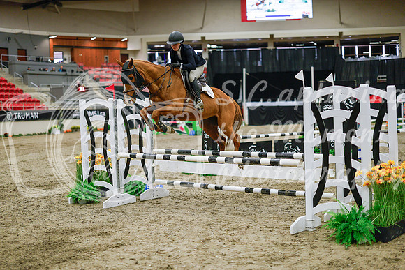 2025 - Haylee - Royal West - Wednesday October 22nd - 00299