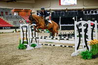 2025 - Haylee - Royal West - Wednesday October 22nd - 00300