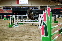 2025 - Haylee - Royal West - Wednesday October 22nd - 01740