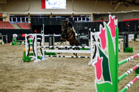 2025 - Haylee - Royal West - Wednesday October 22nd - 01743