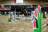2025 - Haylee - Royal West - Wednesday October 22nd - 01744