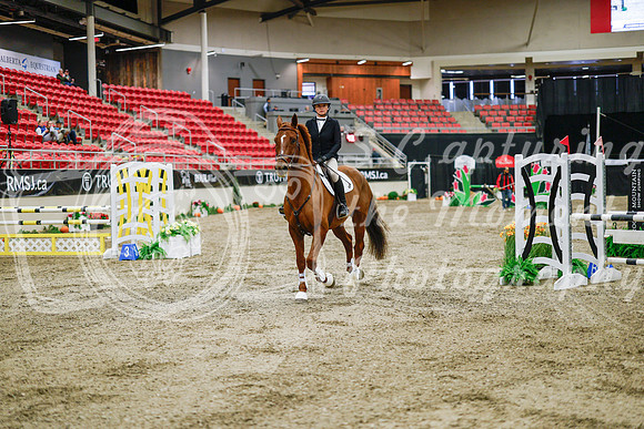 2025 - Haylee - Royal West - Wednesday October 22nd - 01243