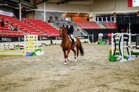 2025 - Haylee - Royal West - Wednesday October 22nd - 01244