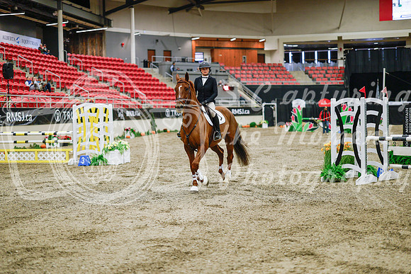 2025 - Haylee - Royal West - Wednesday October 22nd - 01245