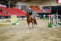2025 - Haylee - Royal West - Wednesday October 22nd - 01246