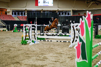 2025 - Haylee - Royal West - Wednesday October 22nd - 01250