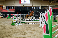 2025 - Haylee - Royal West - Wednesday October 22nd - 01252
