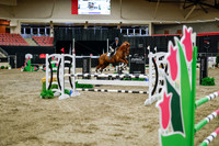 2025 - Haylee - Royal West - Wednesday October 22nd - 01254