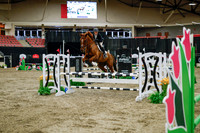 2025 - Haylee - Royal West - Wednesday October 22nd - 01261