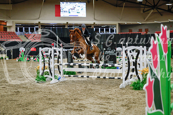2025 - Haylee - Royal West - Wednesday October 22nd - 01262
