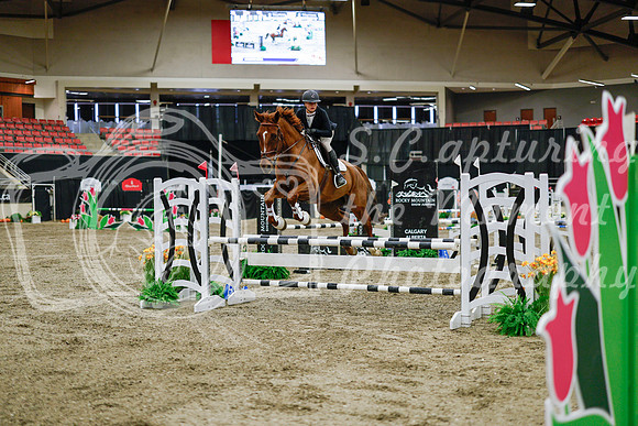 2025 - Haylee - Royal West - Wednesday October 22nd - 01263