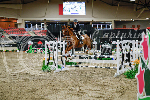 2025 - Haylee - Royal West - Wednesday October 22nd - 01267