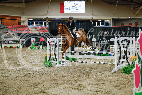2025 - Haylee - Royal West - Wednesday October 22nd - 01270