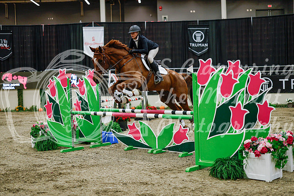 2025 - Haylee - Royal West - Wednesday October 22nd - 01276