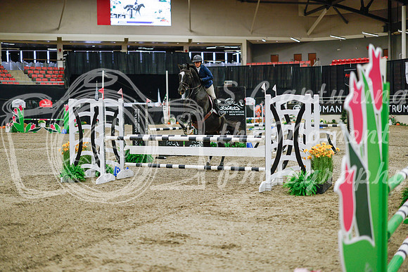 2025 - Haylee - Royal West - Wednesday October 22nd - 00923
