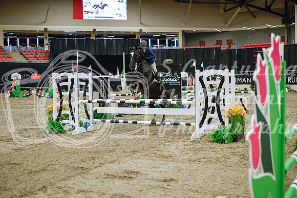 2025 - Haylee - Royal West - Wednesday October 22nd - 00924
