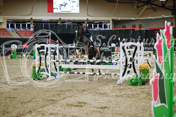 2025 - Haylee - Royal West - Wednesday October 22nd - 00927