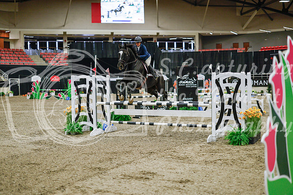 2025 - Haylee - Royal West - Wednesday October 22nd - 00932