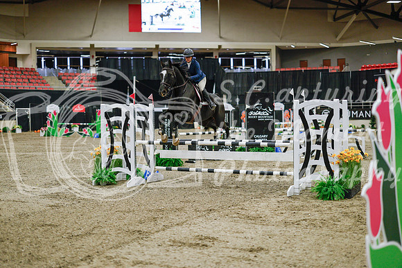 2025 - Haylee - Royal West - Wednesday October 22nd - 00933