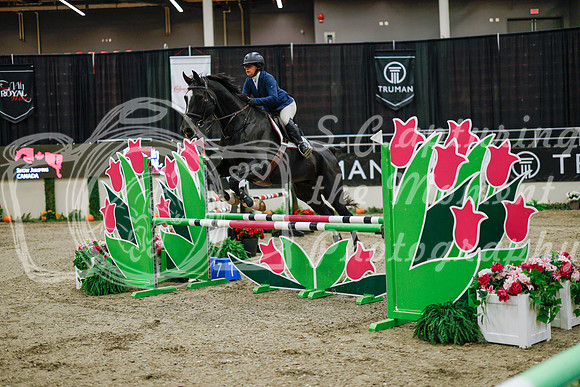 2025 - Haylee - Royal West - Wednesday October 22nd - 00943