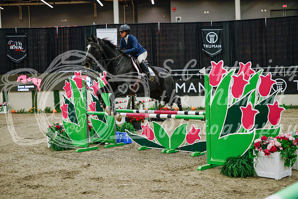 2025 - Haylee - Royal West - Wednesday October 22nd - 00946