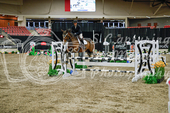 2025 - Haylee - Royal West - Wednesday October 22nd - 01653