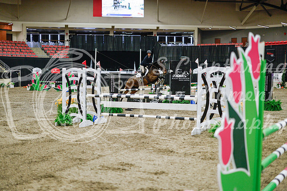 2025 - Haylee - Royal West - Wednesday October 22nd - 01040