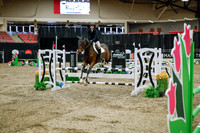 2025 - Haylee - Royal West - Wednesday October 22nd - 01052