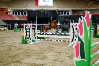 2025 - Haylee - Royal West - Wednesday October 22nd - 01201