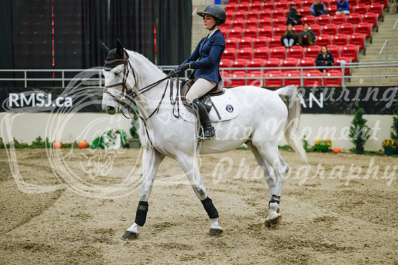 2025 - Haylee - Royal West - Wednesday October 22nd - 01095