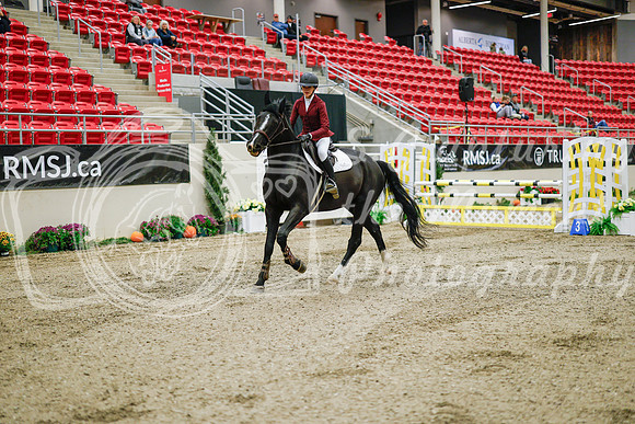 2025 - Haylee - Royal West - Wednesday October 22nd - 00967