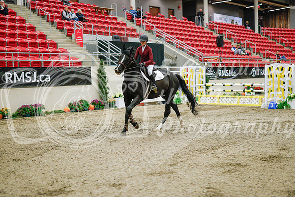 2025 - Haylee - Royal West - Wednesday October 22nd - 00968