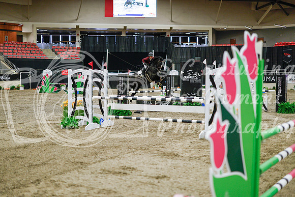 2025 - Haylee - Royal West - Wednesday October 22nd - 00973