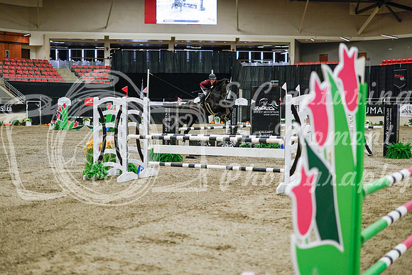 2025 - Haylee - Royal West - Wednesday October 22nd - 00974