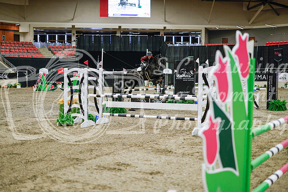 2025 - Haylee - Royal West - Wednesday October 22nd - 00975