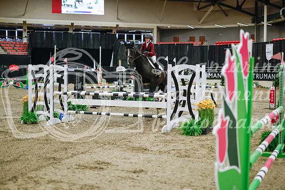 2025 - Haylee - Royal West - Wednesday October 22nd - 00981