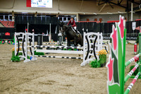 2025 - Haylee - Royal West - Wednesday October 22nd - 00983