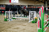 2025 - Haylee - Royal West - Wednesday October 22nd - 00985