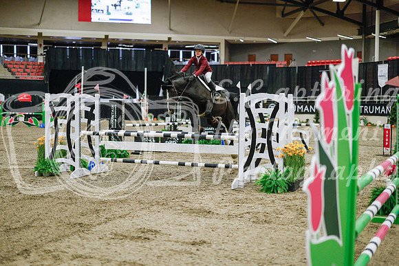 2025 - Haylee - Royal West - Wednesday October 22nd - 00986
