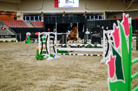 2025 - Haylee - Royal West - Wednesday October 22nd - 01769
